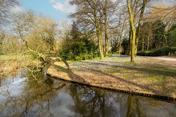 Medium property photo - Byronstraat 46, 3533 VZ Utrecht